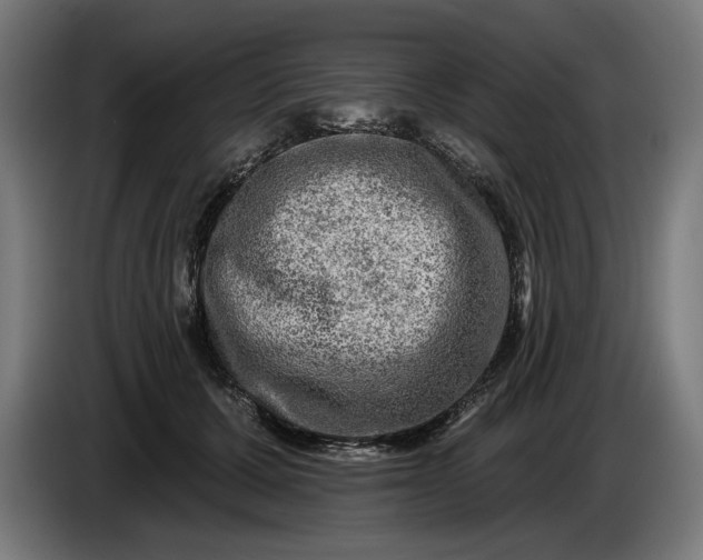 X0000085770607200703301405