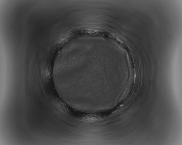 X0000085770608200703301405