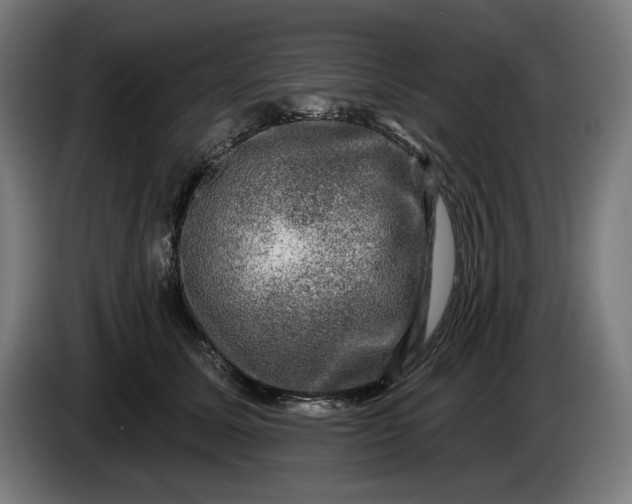 X0000085770611200703301405