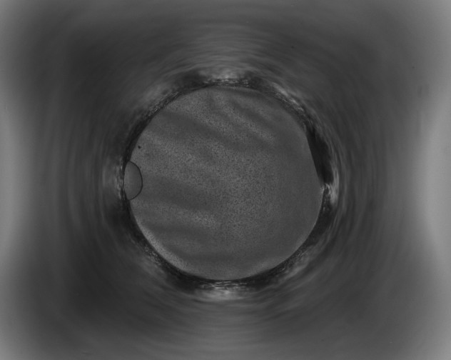 X0000085770612200703301405