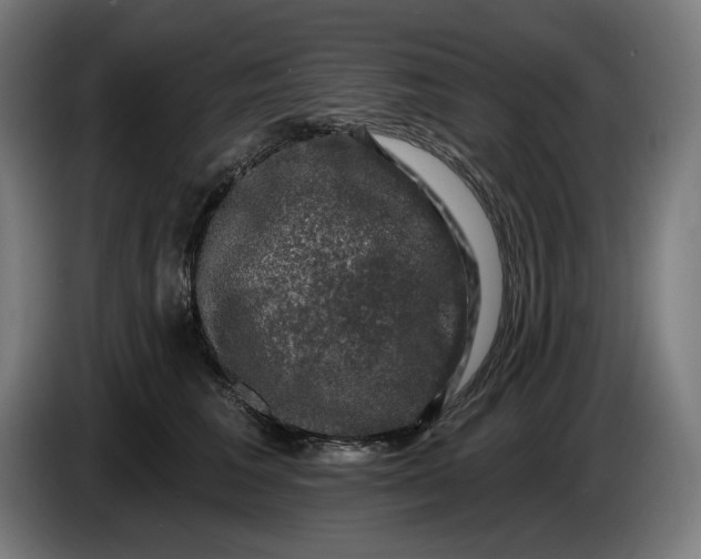 X0000085770613200703301405