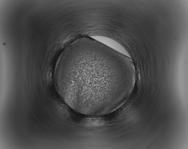 X0000085770615200703301405