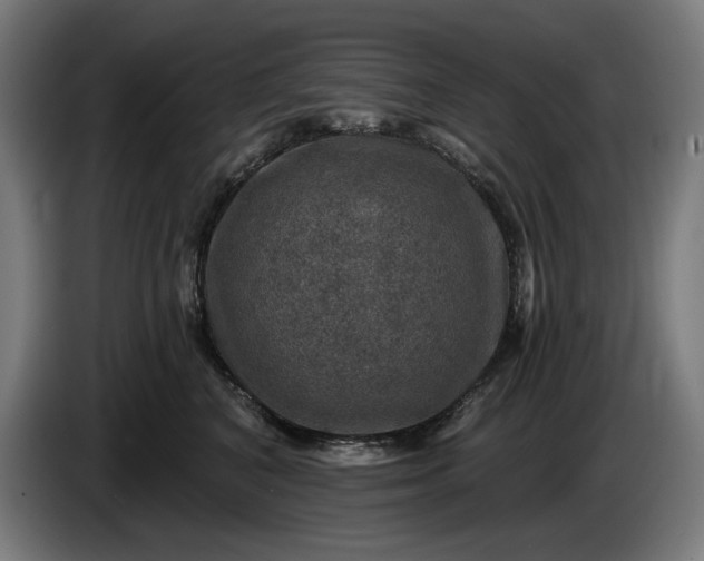 X0000085770616200703301405