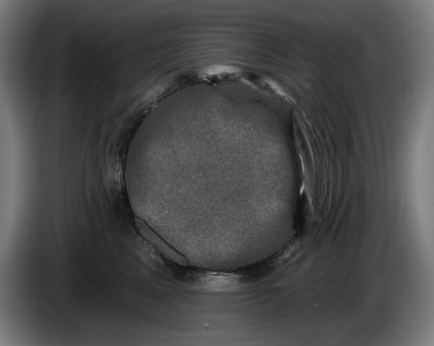 X0000085770617200703301405