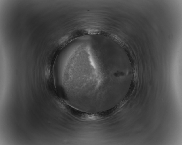 X0000085770618200703301405