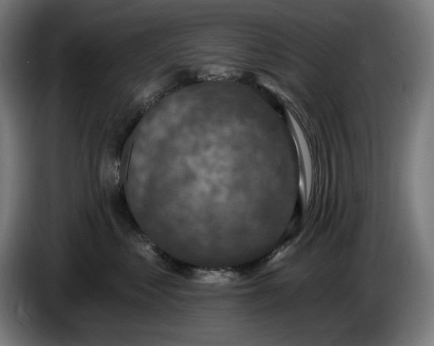 X0000085770621200703301405