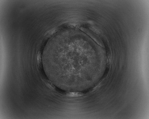 X0000085770623200703301405