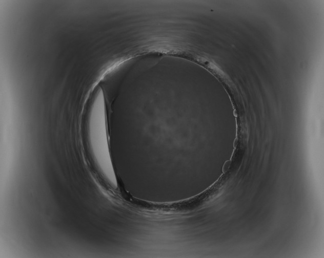 X0000085770626200703301404