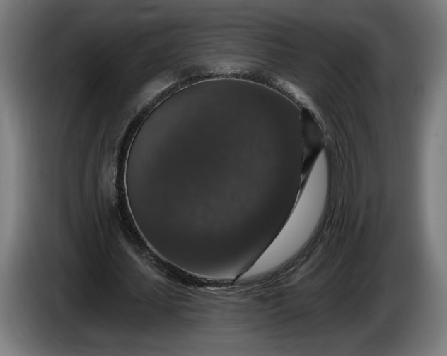 X0000085770627200703301404