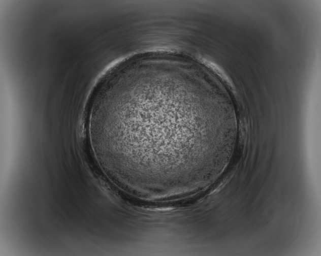 X0000085770628200703301404