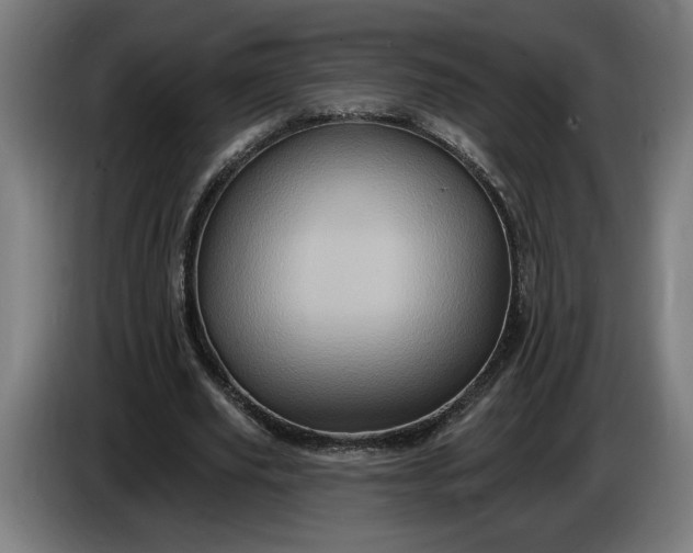 X0000085770629200703301404