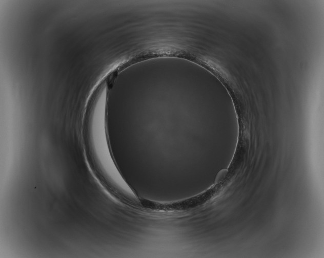 X0000085770630200703301404