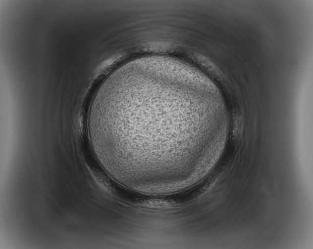 X0000085770636200703301404