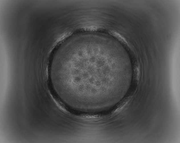 X0000085770638200703301404