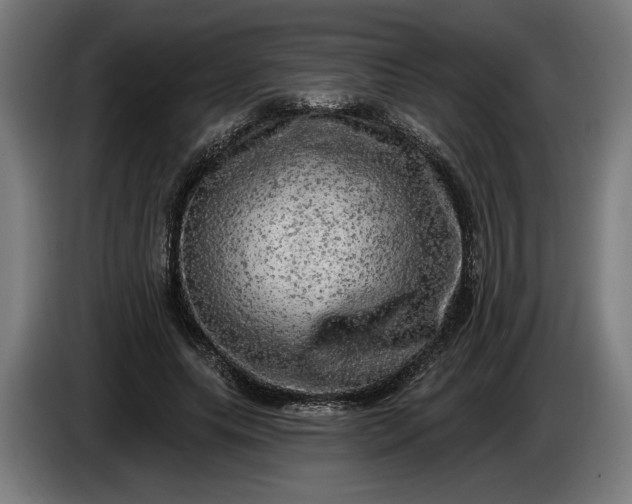 X0000085770639200703301404