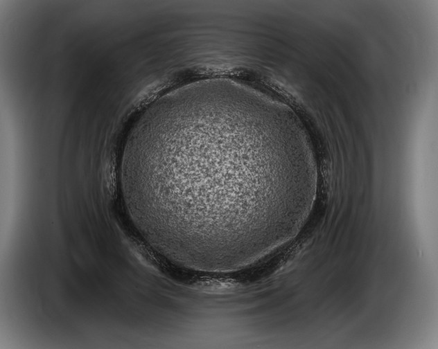 X0000085770642200703301404