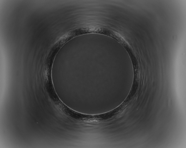 X0000085770643200703301404