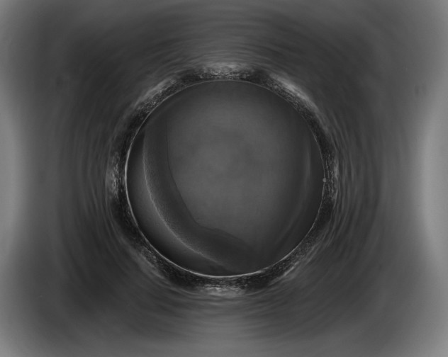 X0000085770644200703301404