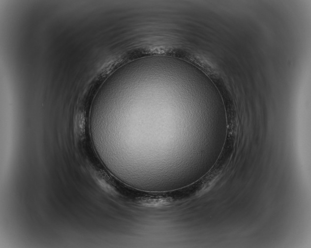 X0000085770646200703301404