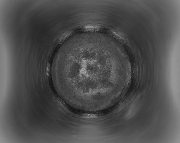 X0000085770649200703301404