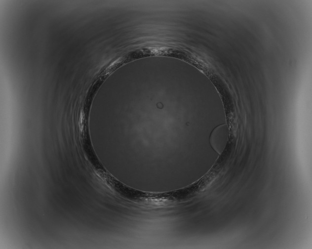 X0000085770650200703301404