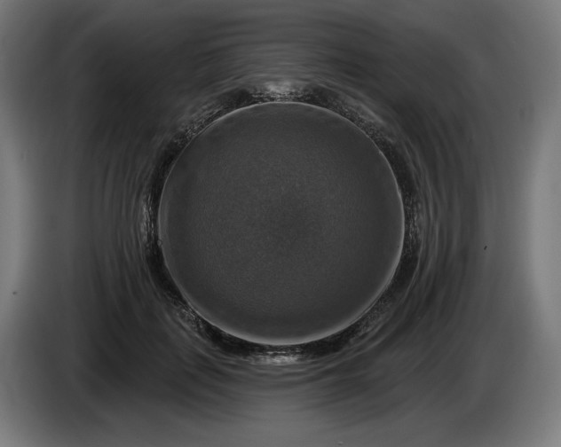 X0000085770651200703301404