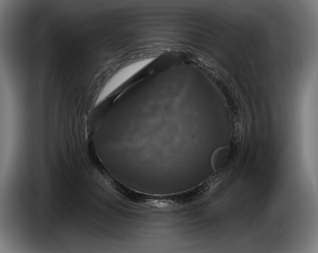 X0000085770654200703301404