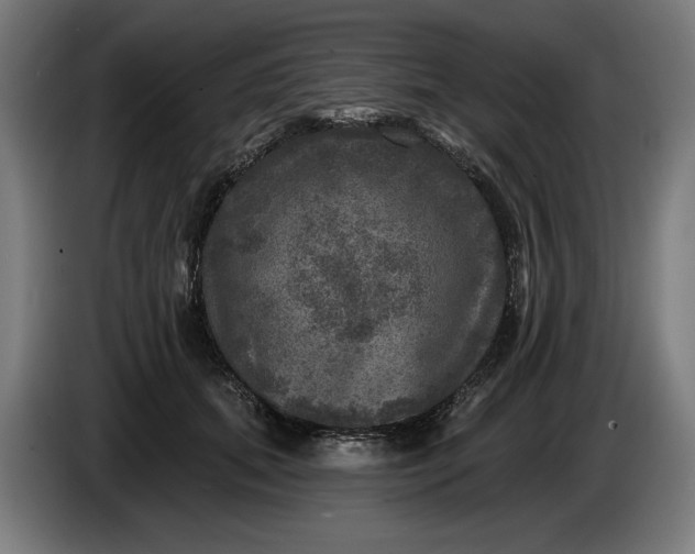 X0000085770655200703301404