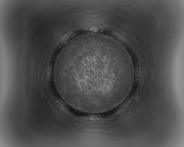 X0000085770656200703301404