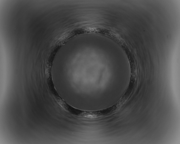 X0000085770658200703301404