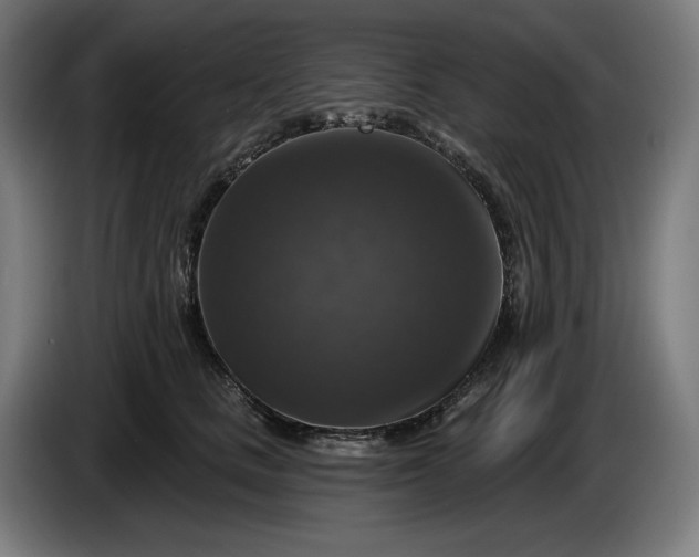 X0000085770661200703301404