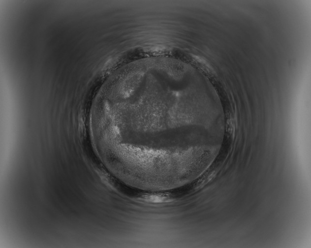 X0000085770662200703301404