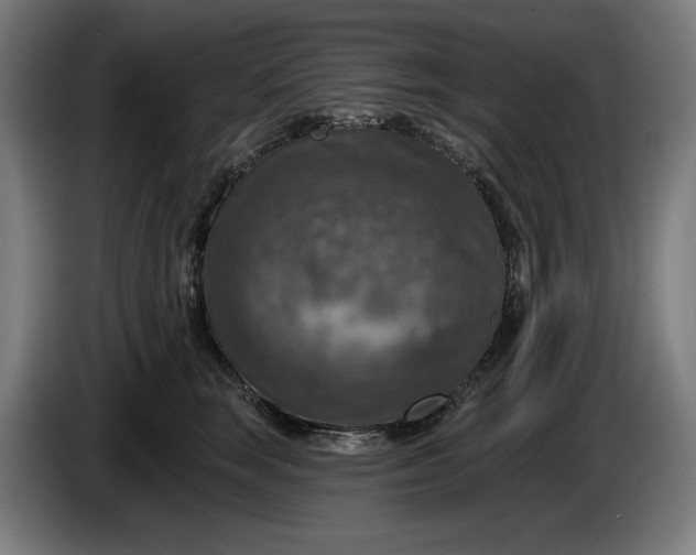 X0000085770663200703301404