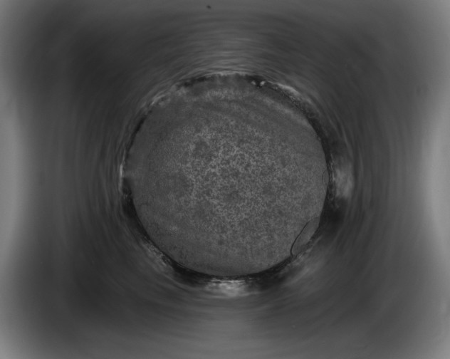 X0000085770665200703301404