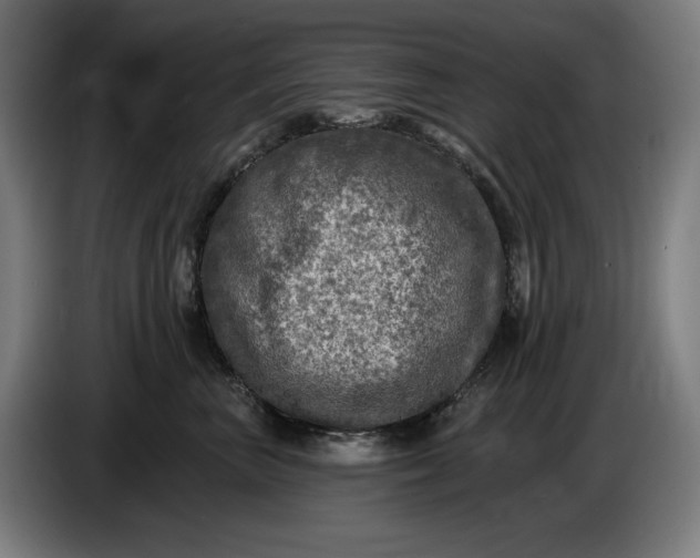 X0000085770667200703301404