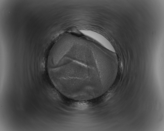 X0000085770668200703301404