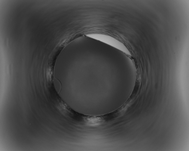 X0000085770669200703301404