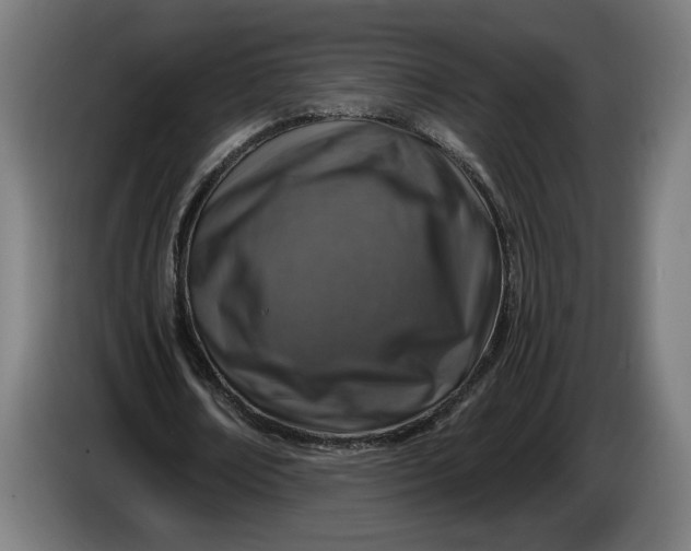 X0000085770674200703301404