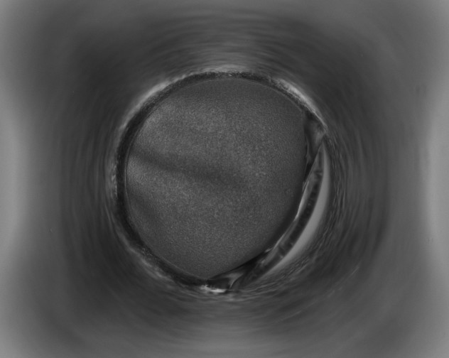 X0000085770676200703301404