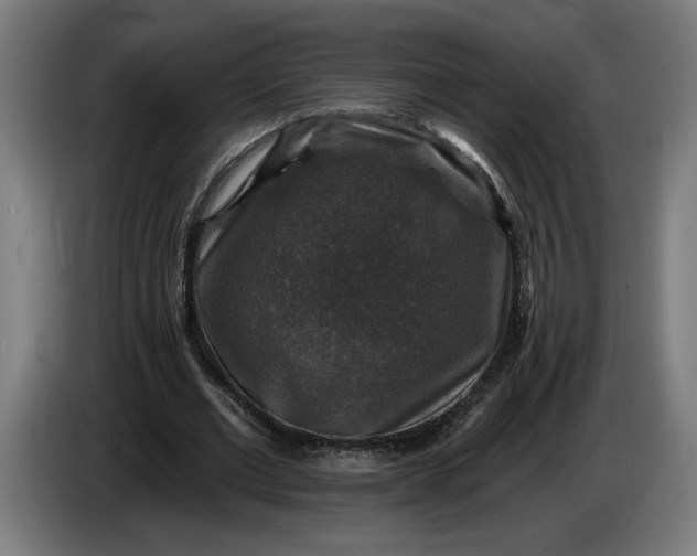 X0000085770677200703301404