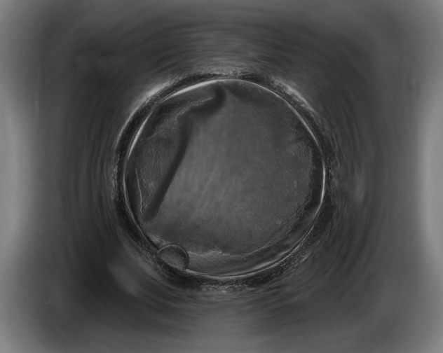 X0000085770679200703301404