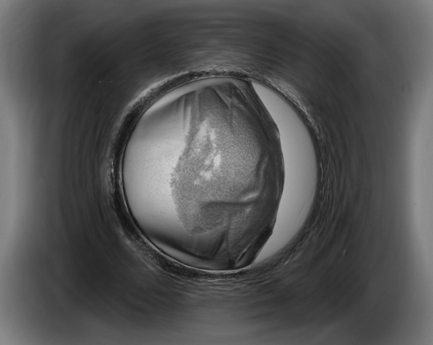 X0000085770680200703301404