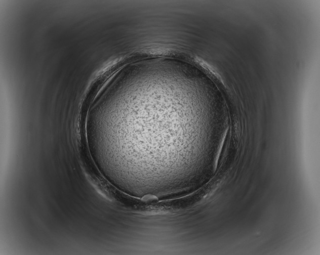 X0000085770682200703301404