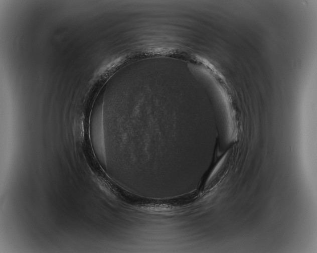 X0000085770685200703301404