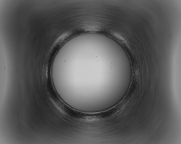 X0000085770686200703301404