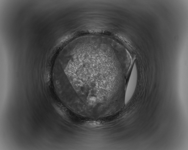 X0000085770687200703301403