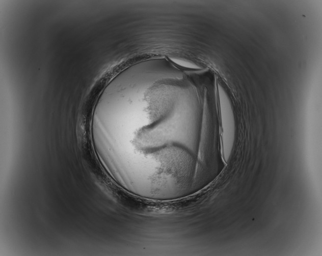 X0000085770688200703301403