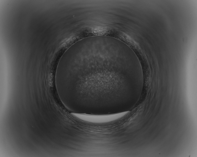 X0000085770689200703301403