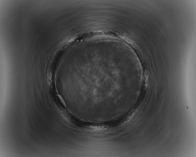 X0000085770693200703301403