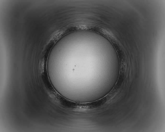 X0000085770694200703301403